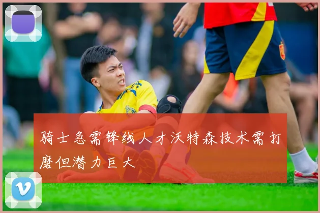骑士急需锋线人才沃特森技术需打磨但潜力巨大