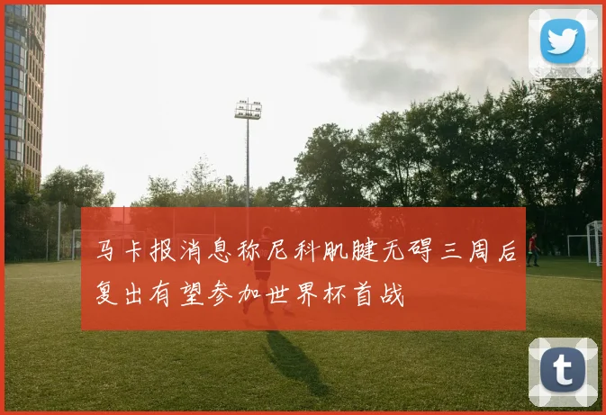 马卡报消息称尼科肌腱无碍三周后复出有望参加世界杯首战